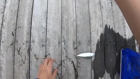 根魚釣り（ホテルニューアワジ系列の夢泉景別荘　天原にて）